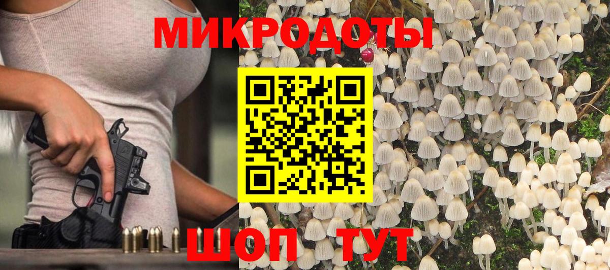 Галлюциногенные грибы Psilocybe Волжский